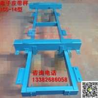 ICS14貿易結算高精度皮帶秤、0.125精度皮帶秤盛勤測控