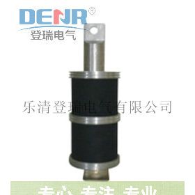 LXQ3电压互感器中性点用消谐器_登瑞电气