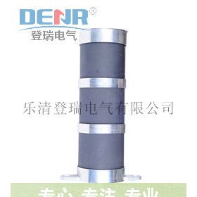 LXQIII-35一次消谐器,35kv消谐装置
