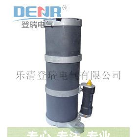 rxq-35d,rxq-20d一次消谐器,一次消谐装置