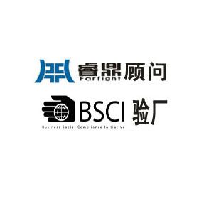 BSCI验厂的操作流程