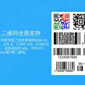 中琅可变数据排版软件
